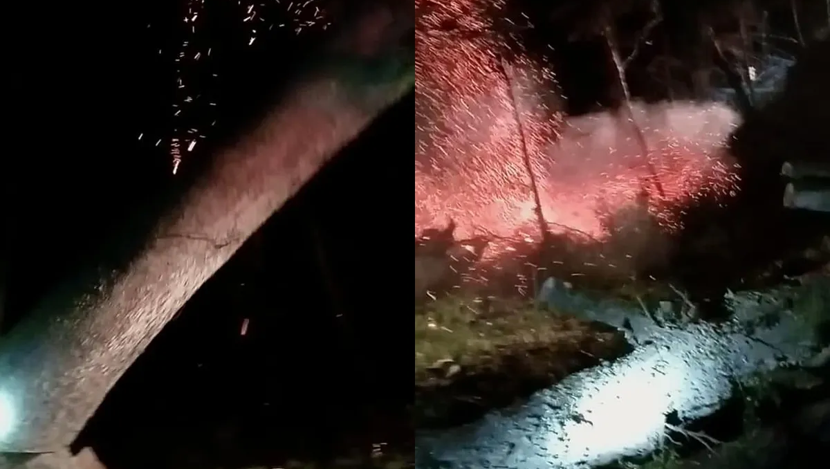 Tuvieron que talar un árbol para evitar un incendio forestal