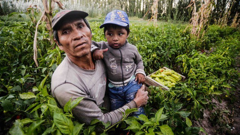 La laboriosa vida de los nuevos colonos del valle