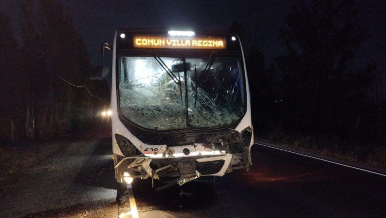 Ruta 65: colectivo de la empresa Ko-Ko chocó contra un caballo