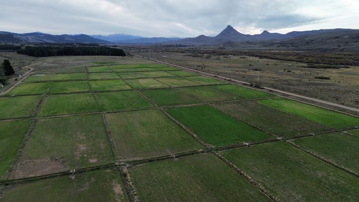 Alerta en la Precordillera:  Alerta en la Precordillera: