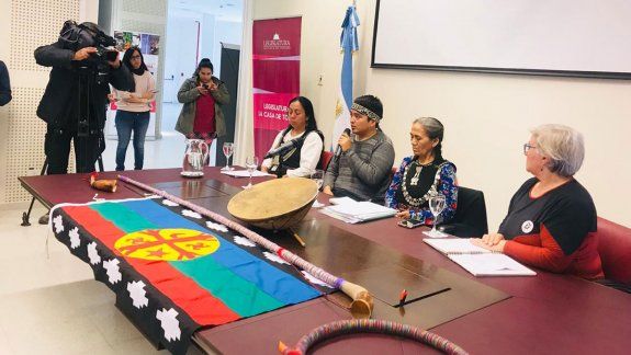 Presentan proyecto para oficializar la lengua mapuche mapuzugun