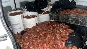 Parte de la mercadería decomisada por la Secretaría de Pesca de Chubut. Parte de la mercadería decomisada por la Secretaría de Pesca de Chubut.