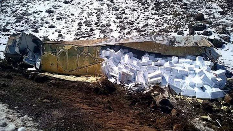 Volcó un camión, vecinos se robaron los salmones y ahora serán investigados