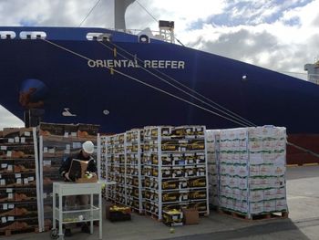 Se complica la situación del puerto de San Antonio Este con las nuevas medidas tomadas por los exportadores frutícolas.