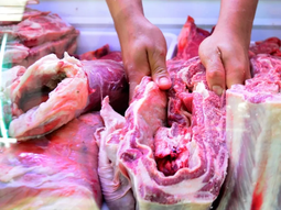 el asado con hueso llega a la patagonia: ¿que implica la nueva medida del gobierno? el asado con hueso llega a la patagonia: ¿que implica la nueva medida del gobierno?
