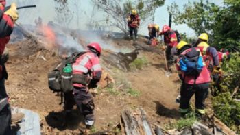 En el momento más crítico del incendio, el operativo de combate en Chubut involucró a más de 110 personas, dos aviones y un helicóptero. En el momento más crítico del incendio, el operativo de combate en Chubut involucró a más de 110 personas, dos aviones y un helicóptero.