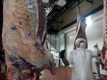 El atraso cambiario comienza a impactar sobre las exportaciones de carne argentina.