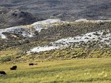 Una década de tensiones por correr la barrera sanitaria del rio Colorado.&nbsp;