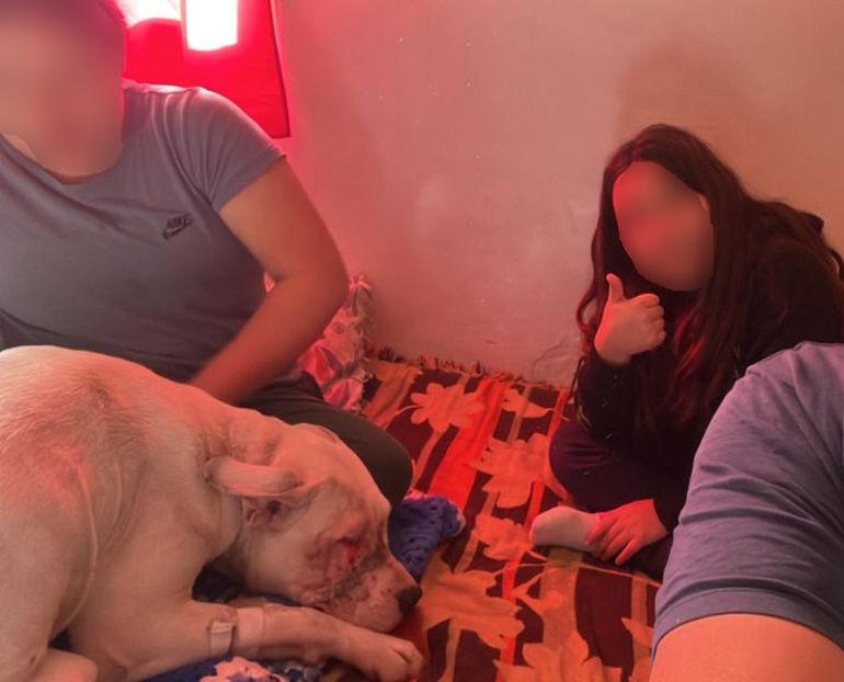 Biela es cuidada por las hijas pequeñas de Leonardo. 