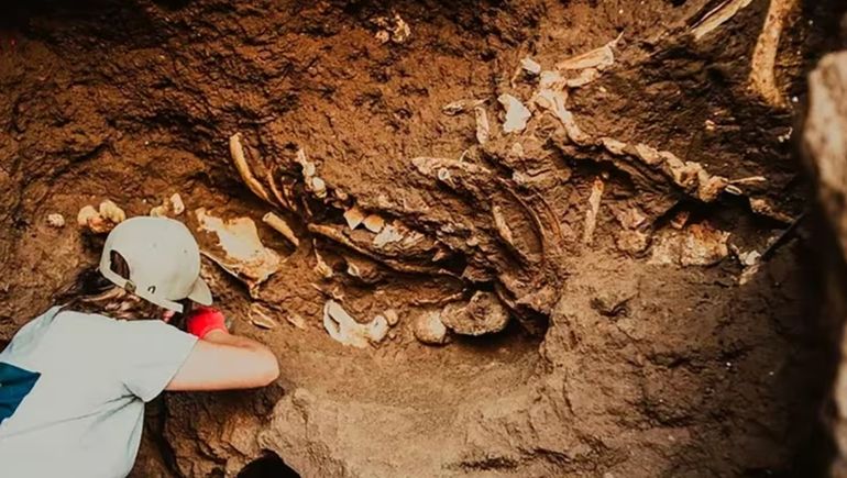 Buscaba caracoles en Mar del Plata y terminó por lograr un hallazgo histórico