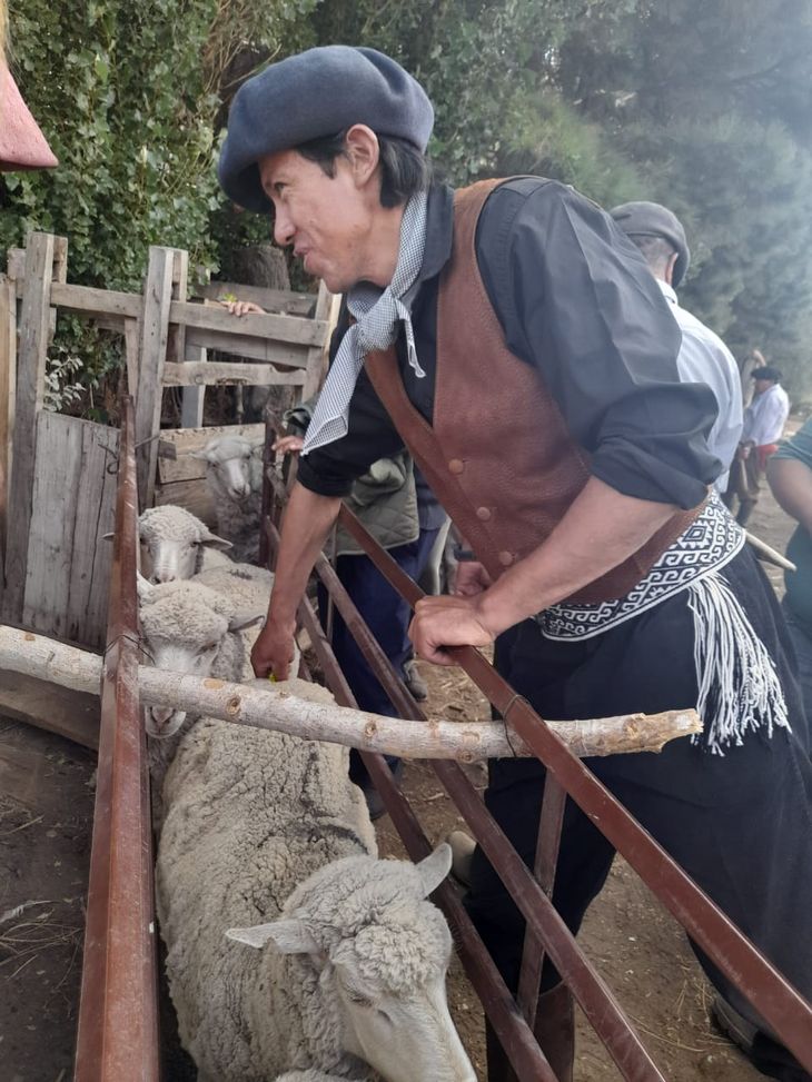 Entre capacitaciones, potreros y charlas con productores, su historia es un ejemplo a seguir. Entre capacitaciones, potreros y charlas con productores, su historia es un ejemplo a seguir.