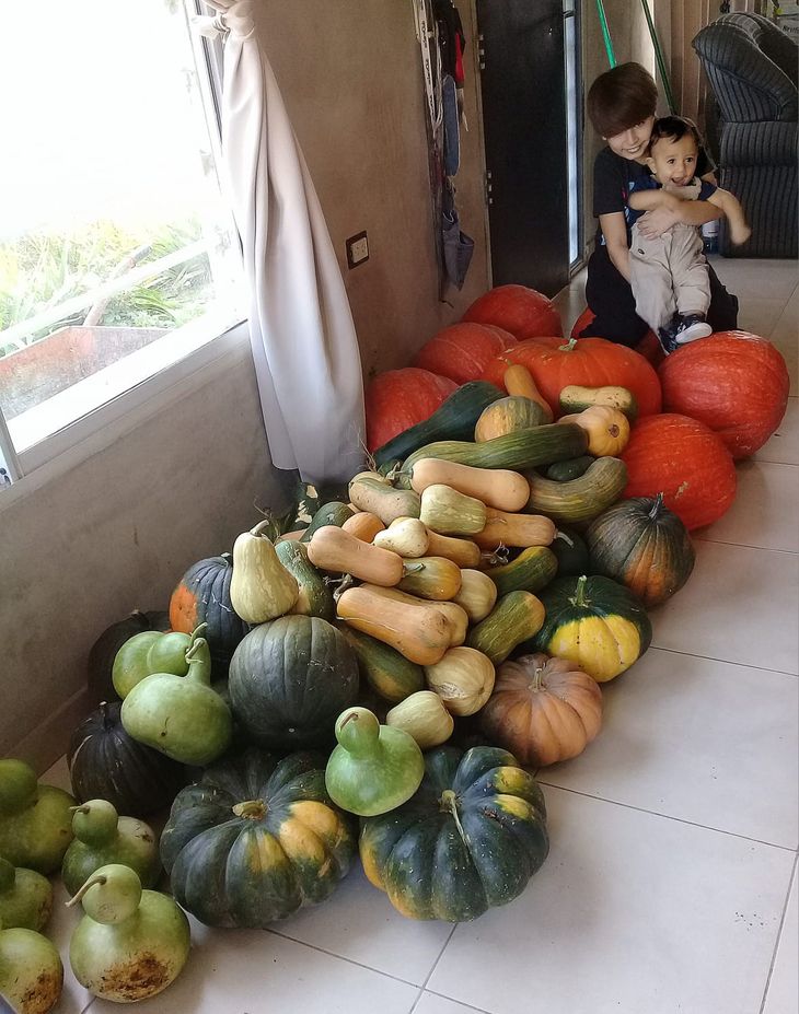 Producir en familia, la enseñanza de la familia Jara. Foto: gentileza. Producir en familia, la enseñanza de la familia Jara. Foto: gentileza.