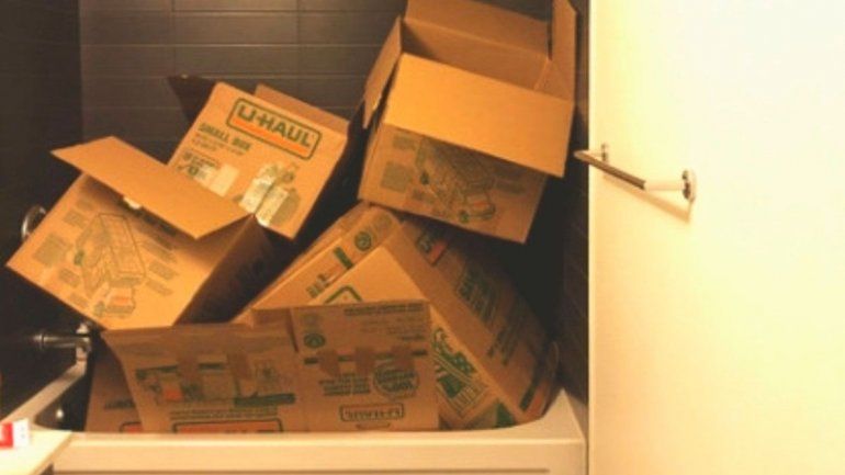 Facebook: ¿Dónde está el gato? el nuevo reto viral