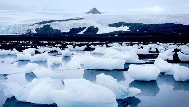 Preocupante presencia de contaminantes orgánicos en el agua de la Antártida