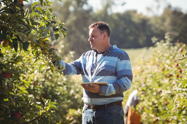 Un agrónomo argentino gana, en promedio, un 61% menos que su par en el exterior. Un agrónomo argentino gana, en promedio, un 61% menos que su par en el exterior.