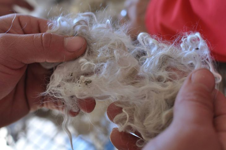 La venta en conjunto llegó a los 45.700 kilos, algo superior frente a los 43.000 kilos negociados en 2022. La venta en conjunto llegó a los 45.700 kilos, algo superior frente a los 43.000 kilos negociados en 2022.