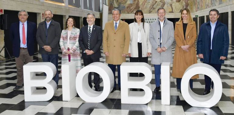 La comitiva neuquina en Chile. La comitiva neuquina en Chile.