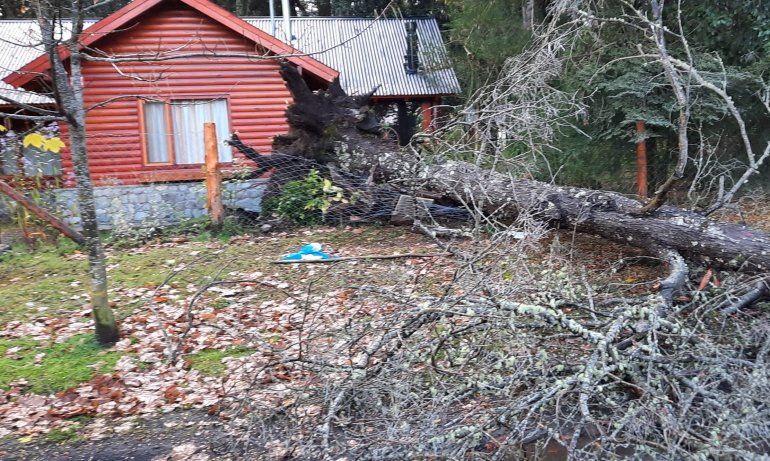 Temporal en Neuquén: la ráfaga máxima fue de 68 km/h y el viento podría superar los 100 km/h
