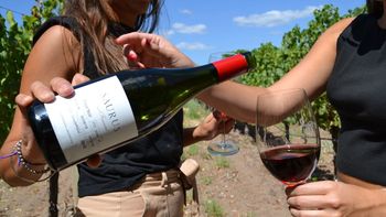 Finde XXL del Día del Padre: crece la demanda por las bodegas y los vinos de la región