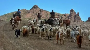 Crianceros  trashumancia.jpg