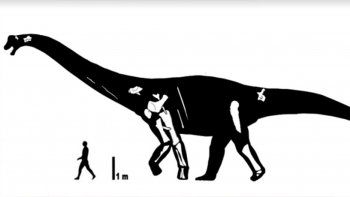 neuquen suma un nuevo dinosaurio de talla gigante neuquen suma un nuevo dinosaurio de talla gigante