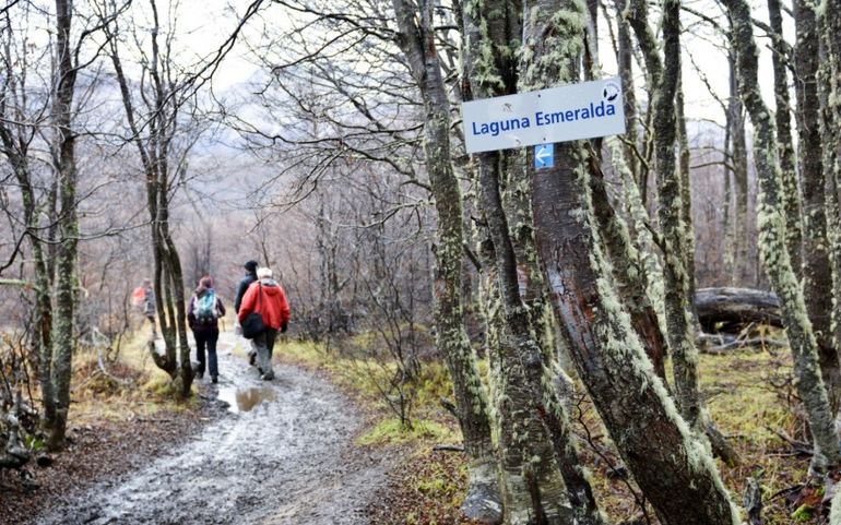 El sendero de Laguna Esmeralda, en Ushuaia. El sendero de Laguna Esmeralda, en Ushuaia.