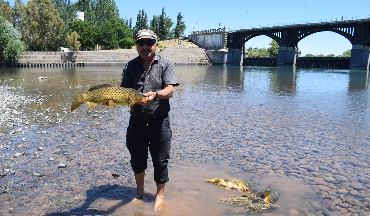 Emeterio pesca carpas en el dique Ballester para regalar
