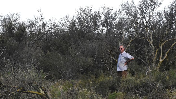 “La oveja ramoneaba el brote, la vaca no”. Esa frase lo cambió todo. Foto: Fabricio González. “La oveja ramoneaba el brote, la vaca no”. Esa frase lo cambió todo. Foto: Fabricio González.