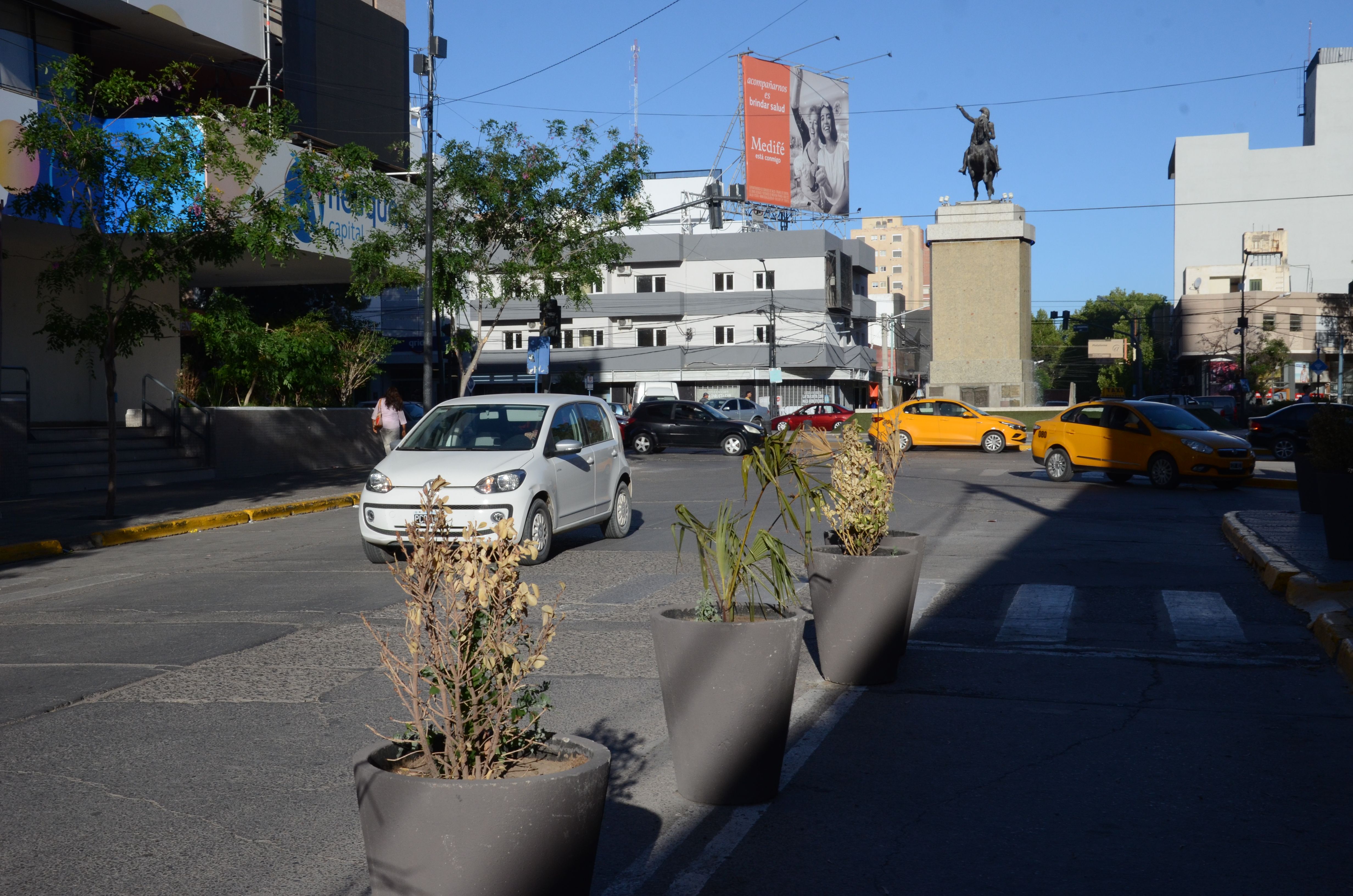 ¿Quién cuida las plantas de las macetas del centro neuquino?