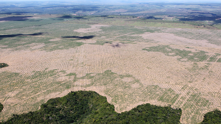 Hubo deforestación récord de la Amazonia brasileña