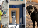 Fin de semana largo: ¿cómo funcionarán los servicios en la ciudad?