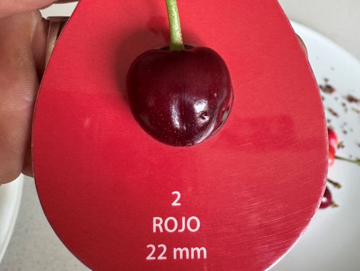 Una muestra de lo que se cosechó semanas atrás en los valles de Jujuy. Una muestra de lo que se cosechó semanas atrás en los valles de Jujuy.