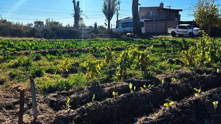 El encargado de la cuadrilla del Vivero de Catriel terminó despedido por tener sexo con otra empleada.