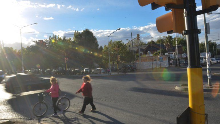 Multitrocha y Riavitz