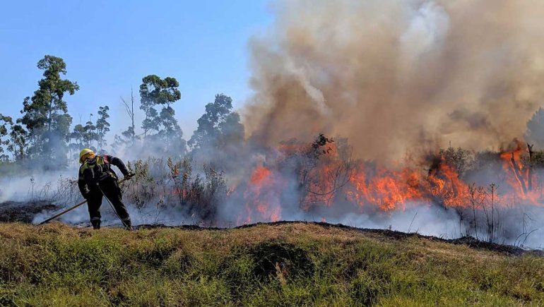 Hay un piloto del automovilismo que es defensor del medio ambiente