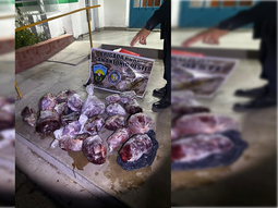 El hecho ocurrió sobre la Ruta Provincial 61. El operativo fue realizado por la Brigada Rural de San Antonio Oeste. Foto: Gentileza. El hecho ocurrió sobre la Ruta Provincial 61. El operativo fue realizado por la Brigada Rural de San Antonio Oeste. Foto: Gentileza.