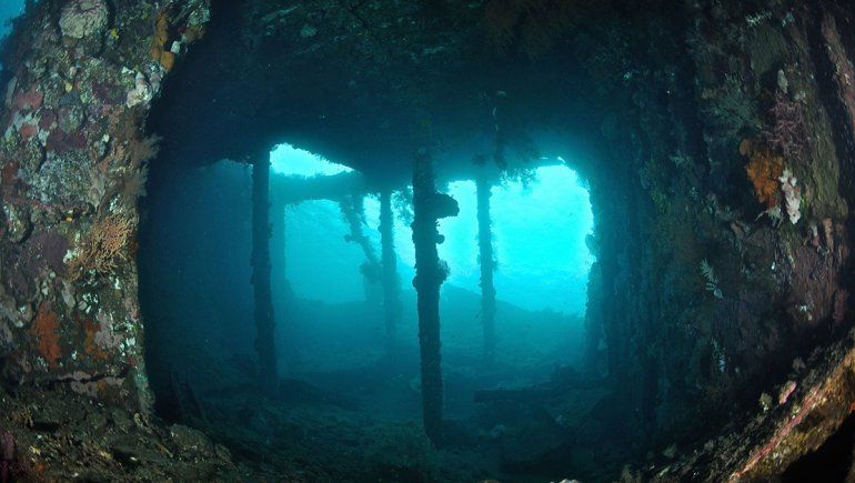 El hallazgo en Google Maps generó reacciones en TikTok