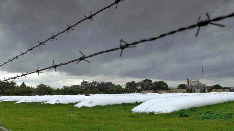 Abril y mayo. Son los meses en que se liquida la soja y los productores decidieron retener cosecha.