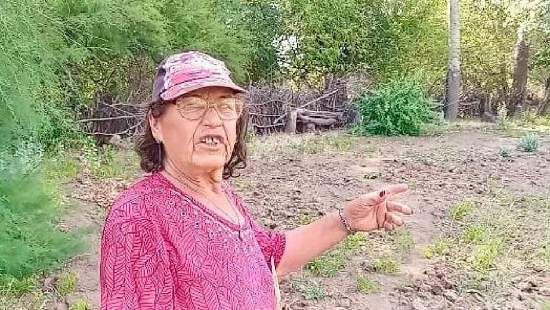 Dora Ávila una vieja pobladora de la zona de Covunco. Los lamentos por la falta de agua para las hueras y animales. Dora Ávila una vieja pobladora de la zona de Covunco. Los lamentos por la falta de agua para las hueras y animales.