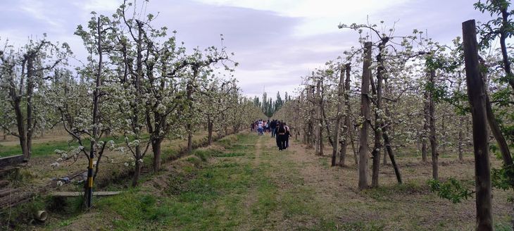 Las chacras se reconvierten en turismo. Las chacras se reconvierten en turismo.