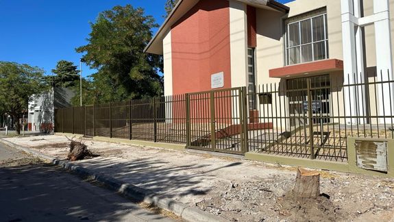 Multa millonaria para la Iglesia que taló árboles sin autorización