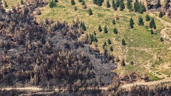 Las fotos que retrató Greenpeace en su sobrevuelo por Chubut. Las fotos que retrató Greenpeace en su sobrevuelo por Chubut.