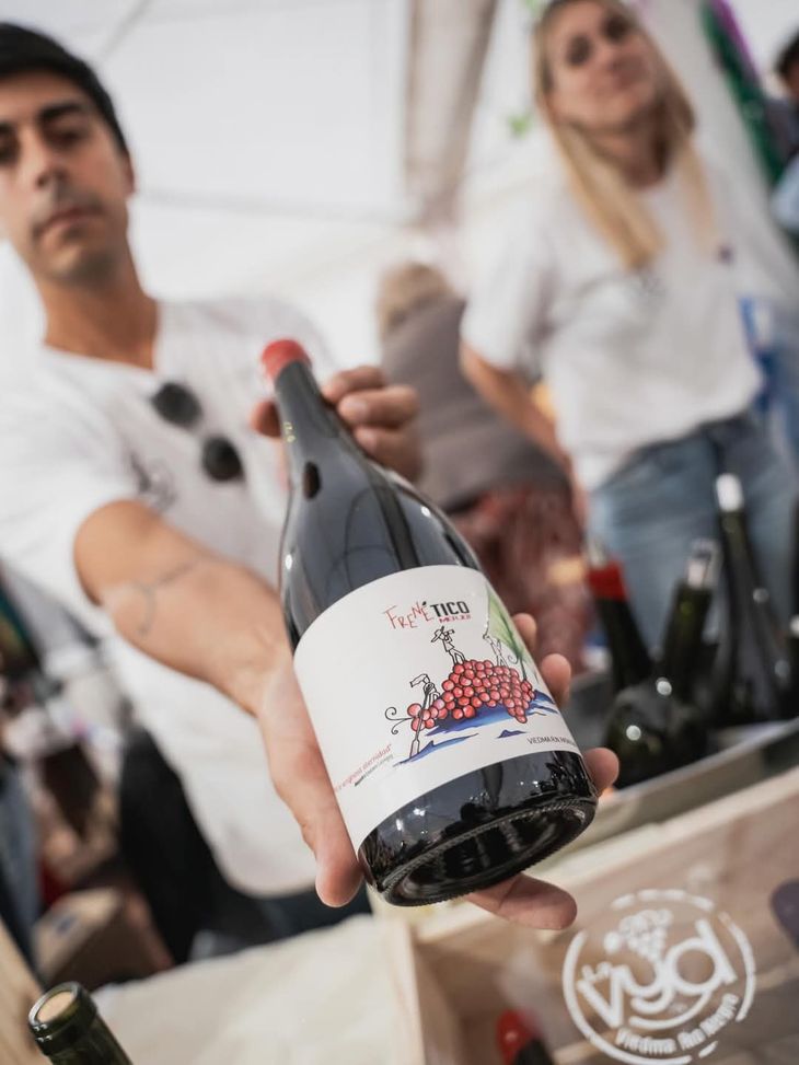 Micropartidas con identidad: Lavyd produce vinos j&oacute;venes y artesanales en plena zona urbana.