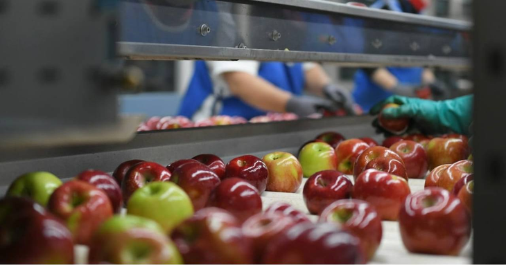 La provincia llevará a Buenos Aires una agenda de medidas para mejorar la competitividad fruticola. La provincia llevará a Buenos Aires una agenda de medidas para mejorar la competitividad fruticola.