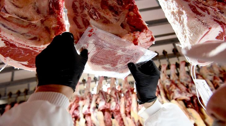 Los nuevos cupos y aranceles impuestos por China ponen un techo al crecimiento de las exportaciones de carne argentina y encarecen los embarques excedentes. Los nuevos cupos y aranceles impuestos por China ponen un techo al crecimiento de las exportaciones de carne argentina y encarecen los embarques excedentes.