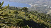 Empresarios del turismo de Villa Pehuenia denunciaron inacción estatal.
