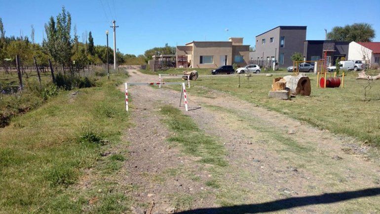 Los animales aparecieron muertos en patios y en una plaza del barrio.