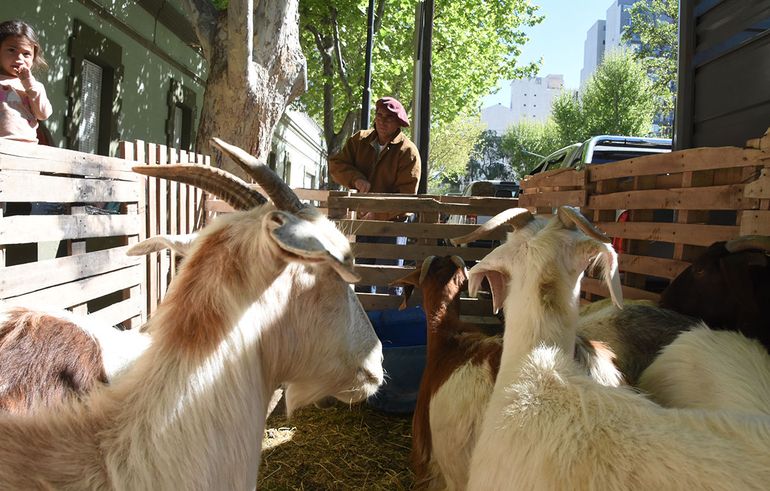 La familia de crianceros volvió a la gobernación para denunciar a Guillermo Coco. La familia de crianceros volvió a la gobernación para denunciar a Guillermo Coco.