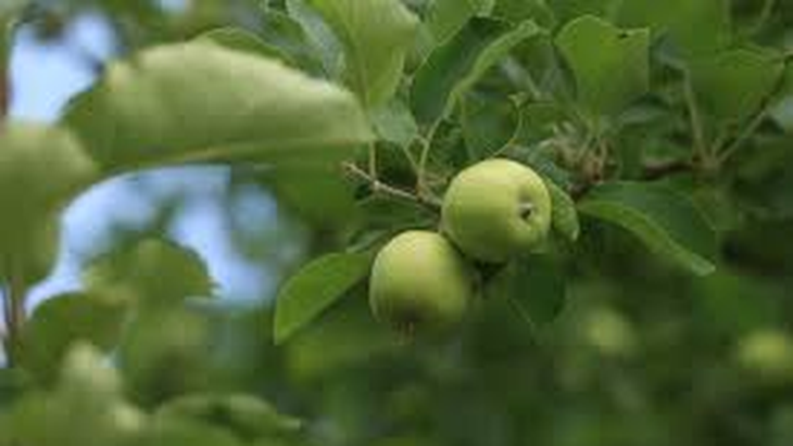 Dos empresas centenarias escriben una nueva página en la historia del Valle