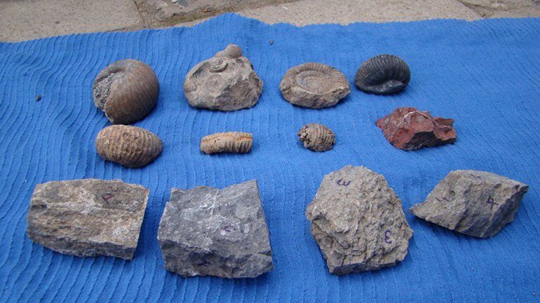 Gendarmería detuvo a dos europeos que traficaban fósiles